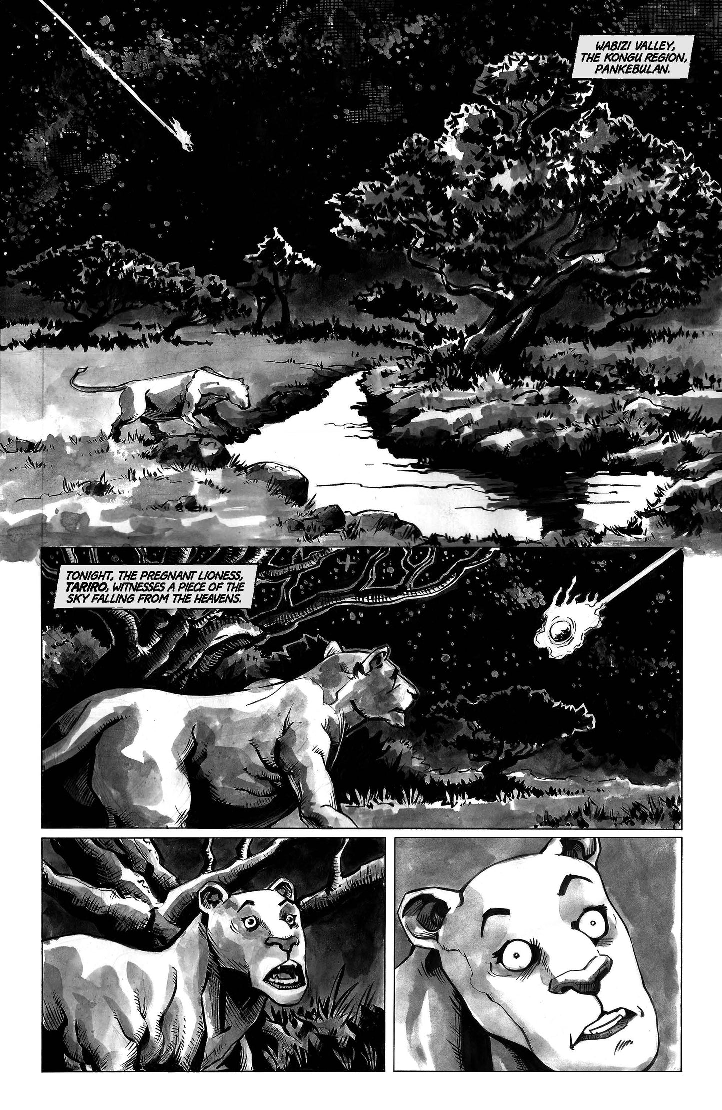 Koroo: The Black Lion, Volume 1: The Beginning